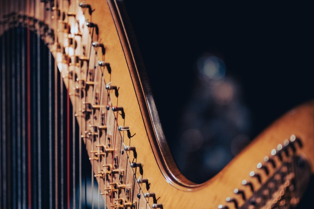 victor-serban-0fl9EOrYgb8-unsplash (1) (1) (1) (1) (1)
